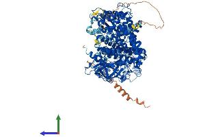 AlphaFold protein structure predicition of Human Recombinant ACAD10 Protein, UniprotID Q6JQN1