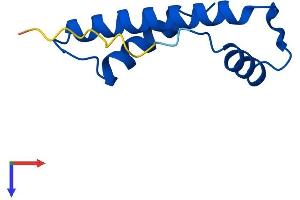 AlphaFold protein structure predicition of Human Recombinant CENPW Protein, UniprotID Q5EE01