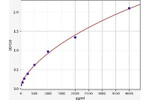 Typical standard curve (CCL1 Kit ELISA)