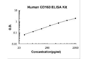CD160 (CD160) ELISA Kit