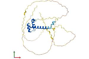 AlphaFold protein structure predicition of Human Recombinant MSX1 Protein, UniprotID P28360