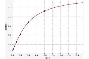 Typical standard curve (ANKRD1 Kit ELISA)