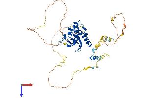 AlphaFold protein structure predicition of Mouse Recombinant Hs1bp3 Protein, UniprotID Q3TC93