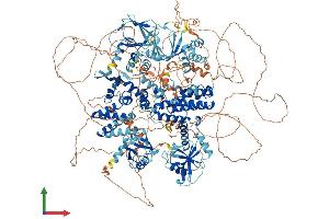 AlphaFold protein structure predicition of Human Recombinant RAPGEF6 Protein, UniprotID Q8TEU7
