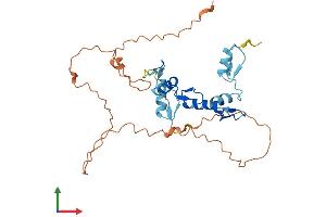 AlphaFold protein structure predicition of Human Recombinant SNAI3 Protein, UniprotID Q3KNW1