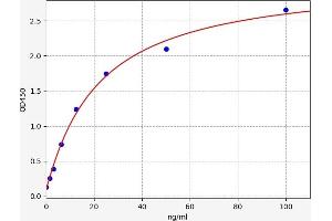 Typical standard curve (Meprin B Kit ELISA)