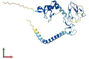 AlphaFold protein structure predicition of Human Recombinant RNF144A Protein, UniprotID P50876