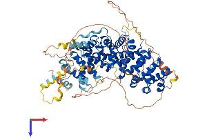 AlphaFold protein structure predicition of Mouse Recombinant Pkp1 Protein, UniprotID P97350