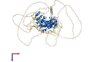 AlphaFold protein structure predicition of Human Recombinant EPB41L1 Protein, UniprotID Q9H4G0