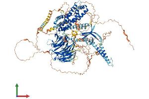 AlphaFold protein structure predicition of Mouse Recombinant Arhgef10 Protein, UniprotID Q8C033