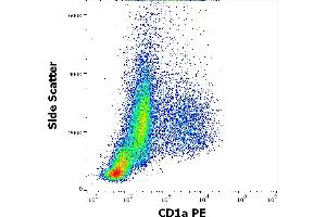 Flow cytometry surface staining pattern of human stimulated (GM-CSF + IL-4) peripheral blood monocytes stained using anti-human CD1a (HI149) PE antibody (20 μL reagent per milion cells in 100 μL of cell suspension).