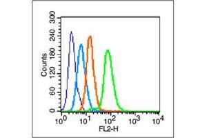 HepG2 cells probed with c-Jun Polyclonal Antibody, unconjugated  at 1:100 dilution for 30 minutes compared to control cells (blue) and isotype control (orange)