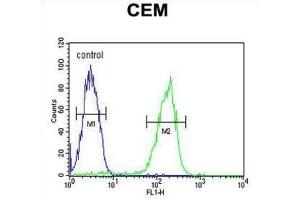 Flow Cytometry (FACS) image for anti-Microtubule-Associated Protein 1S (MAP1S) antibody (ABIN3002436)