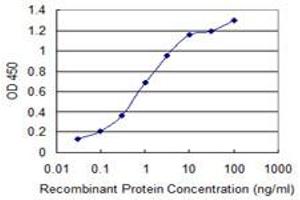 Detection limit for recombinant GST tagged PPFIBP2 is 0. (PPFIBP2 anticorps  (AA 1-100))