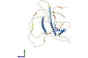 AlphaFold protein structure predicition of Mouse Recombinant Tox3 Protein, UniprotID Q80W03