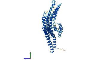 AlphaFold protein structure predicition of Mouse Recombinant Bag5 Protein, UniprotID Q8CI32