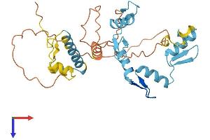 AlphaFold protein structure predicition of Human Recombinant ZNF705B Protein, UniprotID P0CI00
