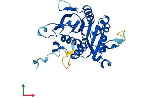 AlphaFold protein structure predicition of Mouse Recombinant Psmg2 Protein, UniprotID Q9EST4