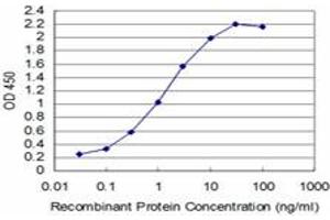 Detection limit for recombinant GST tagged T is approximately 0. (T Brachyury Protein (AA 222-320) anticorps)