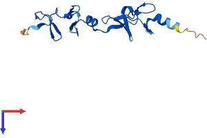 AlphaFold protein structure predicition of Mouse Recombinant Lmo3 Protein, UniprotID Q8BZL8