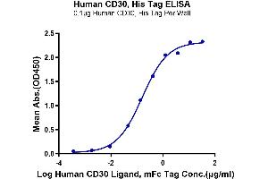 Immobilized Human CD30, His Tag at 1 μg/mL (100 μL/Well) on the plate.