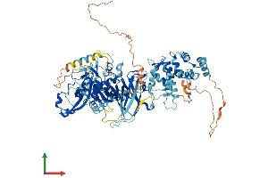 AlphaFold protein structure predicition of Human Recombinant CAPN3 Protein, UniprotID P20807