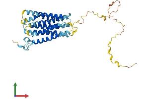 AlphaFold protein structure predicition of Human Recombinant GPRC5A Protein, UniprotID Q8NFJ5