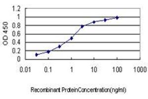 Detection limit for recombinant GST tagged ARID3A is approximately 0. (ARID3A anticorps  (AA 317-416))
