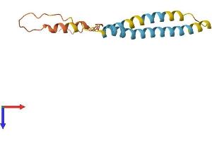 AlphaFold protein structure predicition of Human Recombinant IFITM2 Protein, UniprotID Q01629