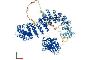 AlphaFold protein structure predicition of Mouse Recombinant Ap1b1 Protein, UniprotID O35643