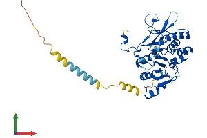 AlphaFold protein structure predicition of Mouse Recombinant Extl2 Protein, UniprotID Q9ES89