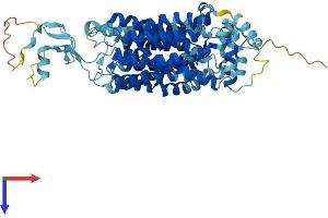 AlphaFold protein structure predicition of Human Recombinant SLC22A7 Protein, UniprotID Q9Y694