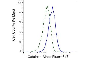 Validation of Catalase knockdown using flow cytometry. (Recombinant Catalase anticorps)