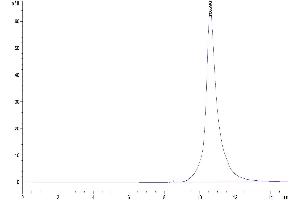 The purity of Human FcRn is greater than 95 % as determined by SEC-HPLC.