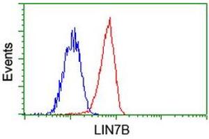Flow cytometric Analysis of Jurkat cells, using anti-LIN7B antibody (ABIN2453233), (Red), compared to a nonspecific negative control antibody (ABIN2453233), (Blue). (LIN7B anticorps)