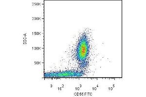 Surface staining of human peripheral blood leukocytes by mouse monoclonal anti-CD55 antibody MEM-118 .