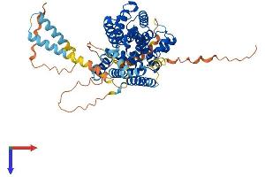 AlphaFold protein structure predicition of Human Recombinant PDE1B Protein, UniprotID Q01064