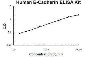 Human E-Cadherin Accusignal ELISA Kit Human E-Cadherin AccuSignal ELISA Kit standard curve.