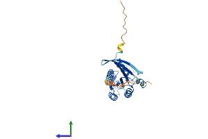 AlphaFold protein structure predicition of Human Recombinant RAB3A Protein, UniprotID P20336