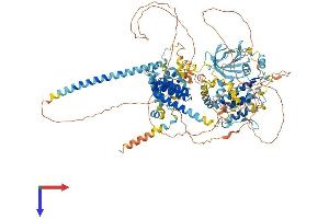 AlphaFold protein structure predicition of Human Recombinant BUB1B Protein, UniprotID O60566