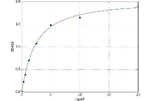 A typical standard curve