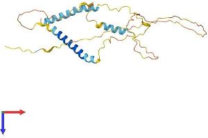 AlphaFold protein structure predicition of Human Recombinant BNIP3 Protein, UniprotID Q12983