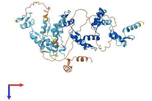 AlphaFold protein structure predicition of Human Recombinant ZNF34 Protein, UniprotID Q8IZ26