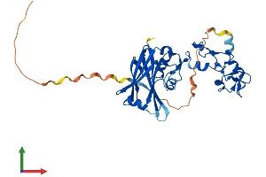 AlphaFold protein structure predicition of Human Recombinant SIAH2 Protein, UniprotID O43255