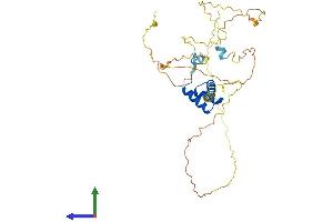 AlphaFold protein structure predicition of Human Recombinant DBX1 Protein, UniprotID A6NMT0