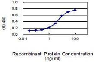 Detection limit for recombinant GST tagged G3BP1 is 0.