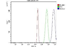 Flow Cytometry analysis of HL-60 cells using anti-HDAC2 antibody (ABIN7601564). (HDAC2 anticorps  (AA 387-488))