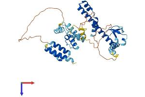 AlphaFold protein structure predicition of Human Recombinant DNAJB14 Protein, UniprotID Q8TBM8