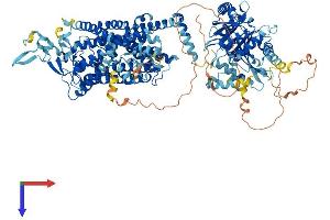 AlphaFold protein structure predicition of Mouse Recombinant Slc12a4 Protein, UniprotID Q9JIS8