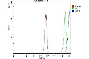 Flow Cytometry analysis of K562 cells using anti-RLN3 antibody (ABIN7600943).